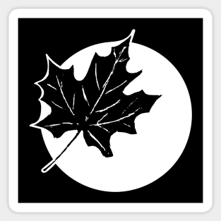 Plane tree leaf Sticker